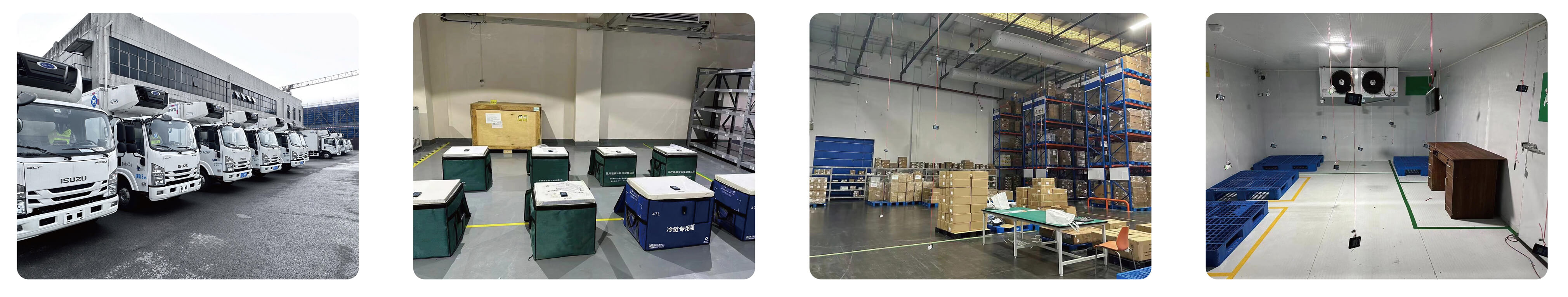 Cold Chain Validation Services