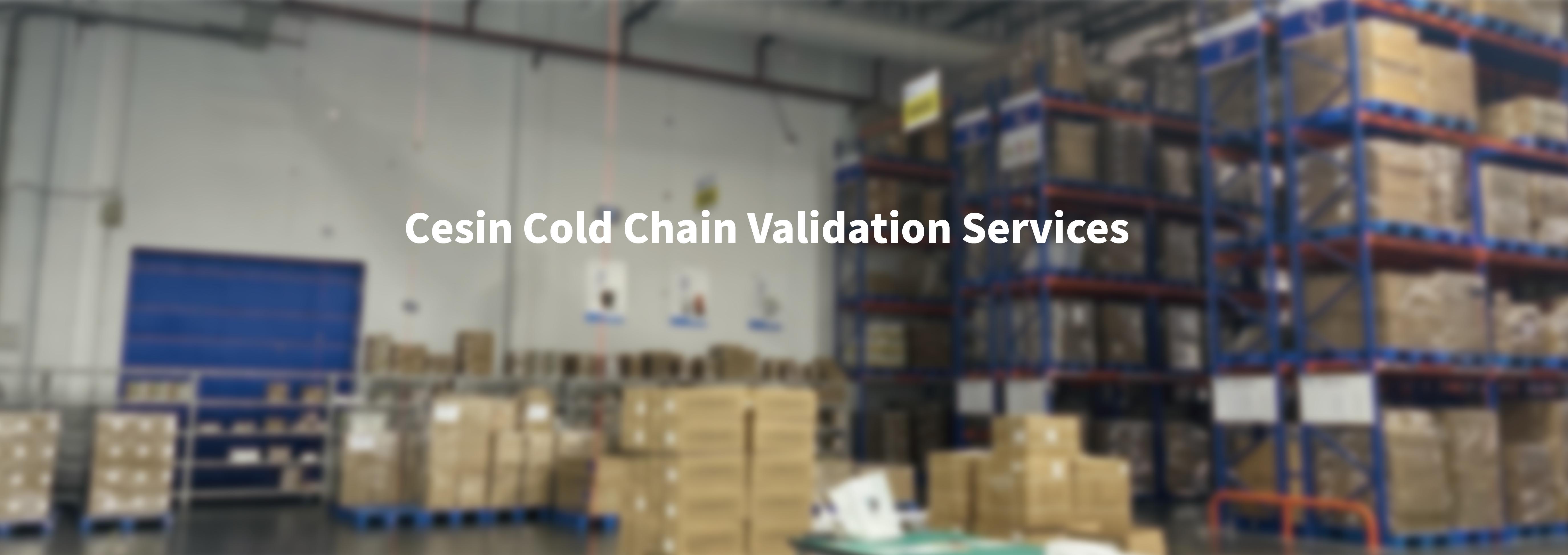 Cold Chain Validation Services